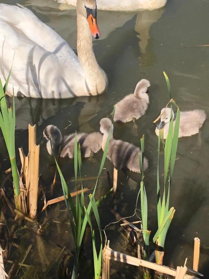Selská chalupa Anetka Horšovský Týn Exteriér fotografie